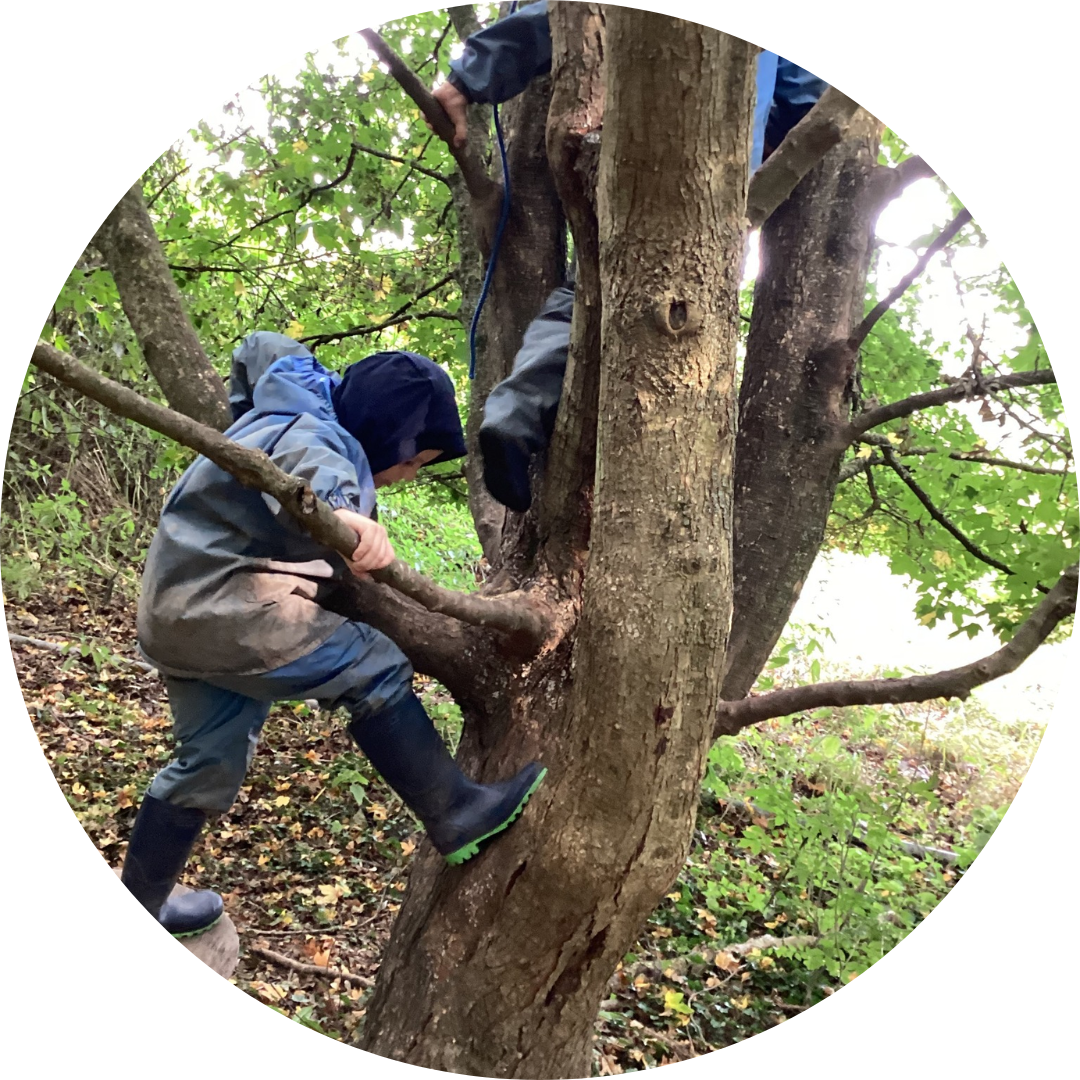 children playing in the trees at forest school